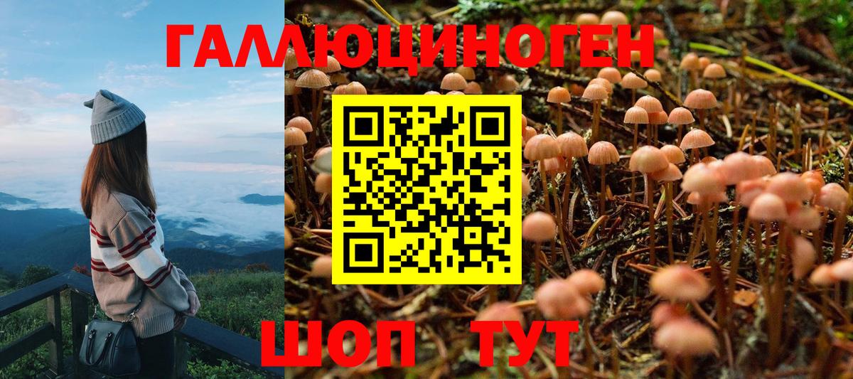 Псилоцибиновые грибы ЛСД Будённовск