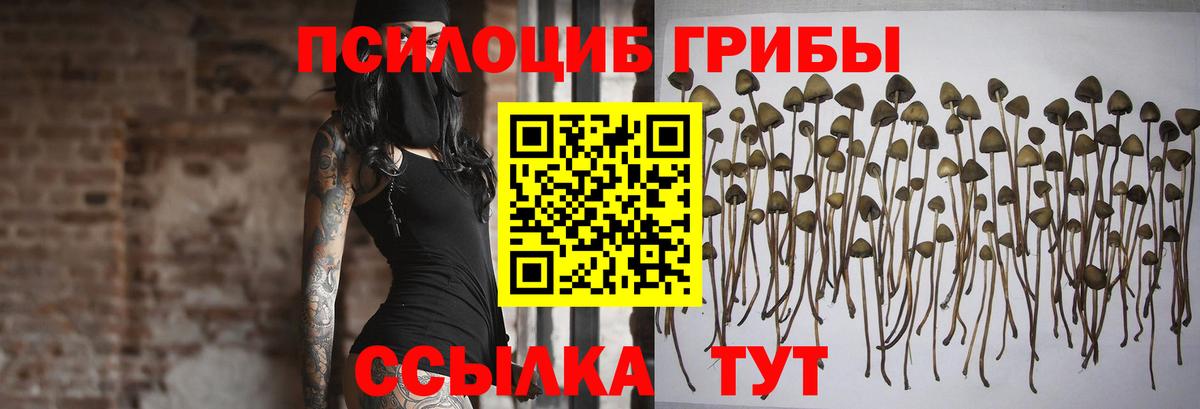 Псилоцибиновые грибы ЛСД  Вход с VPN  Будённовск  Псилоцибиновые грибы прущие грибы 